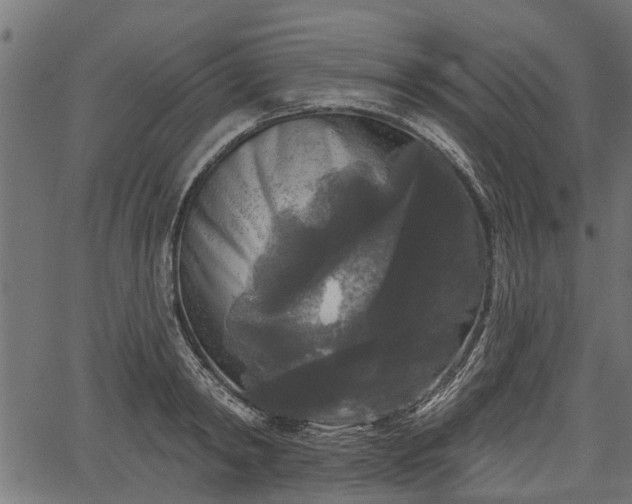 X0000066930798200603311350