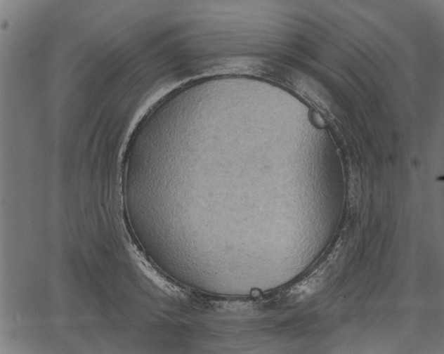 X0000066930800200603311350