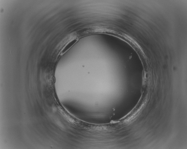 X0000066930801200603311350