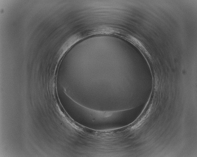 X0000066930802200603311350