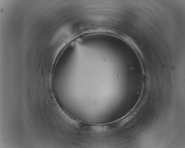 X0000066930805200603311350