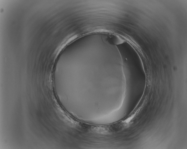 X0000066930806200603311350