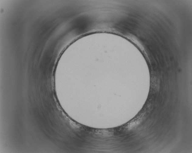 X0000066930807200603311350