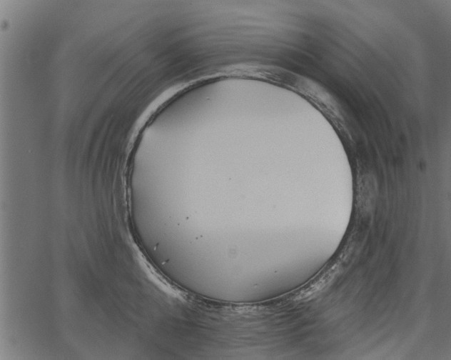 X0000066930808200603311350