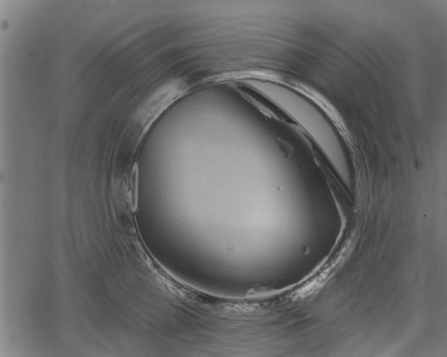 X0000066930809200603311350