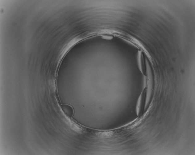 X0000066930810200603311350