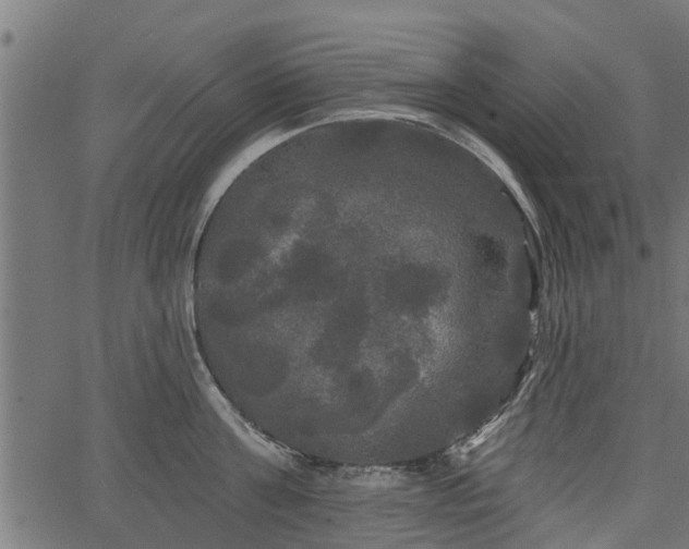 X0000066930811200603311350