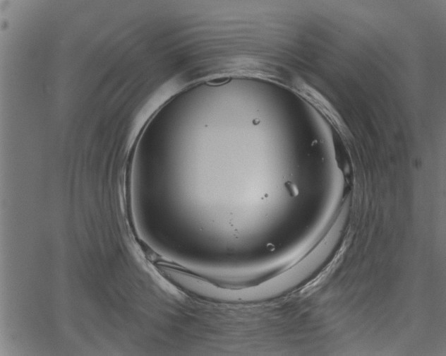 X0000066930812200603311350