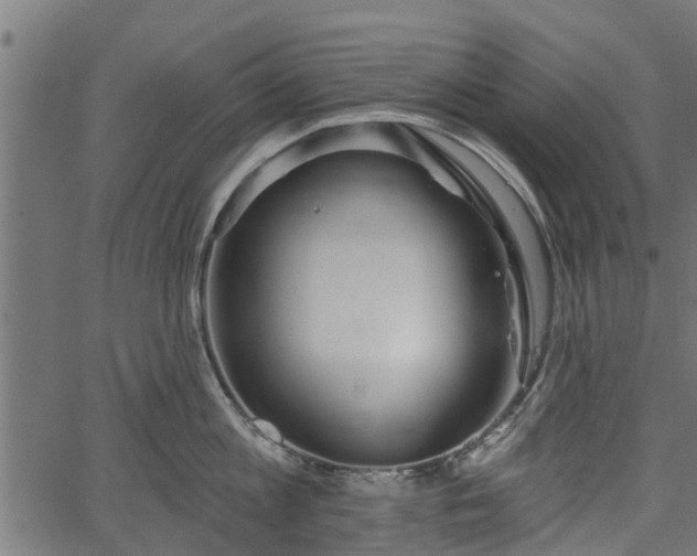 X0000066930813200603311350