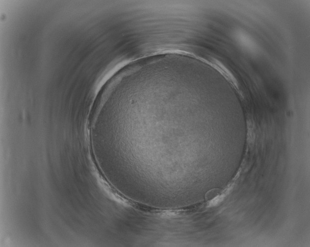 X0000066930814200603311350