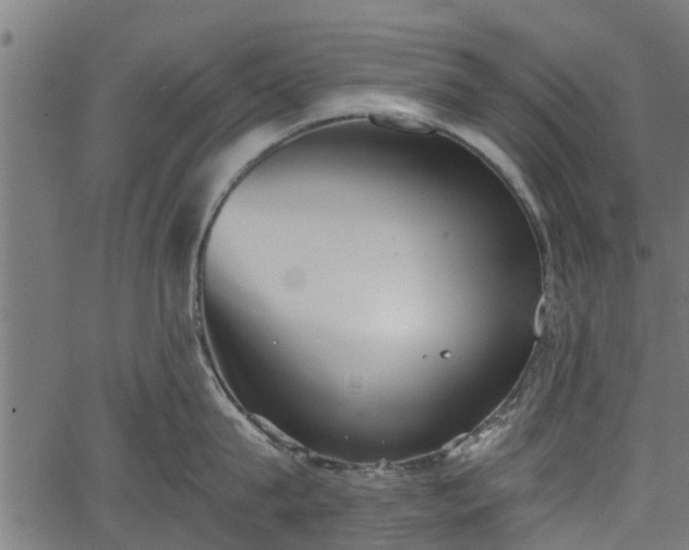 X0000066930815200603311350