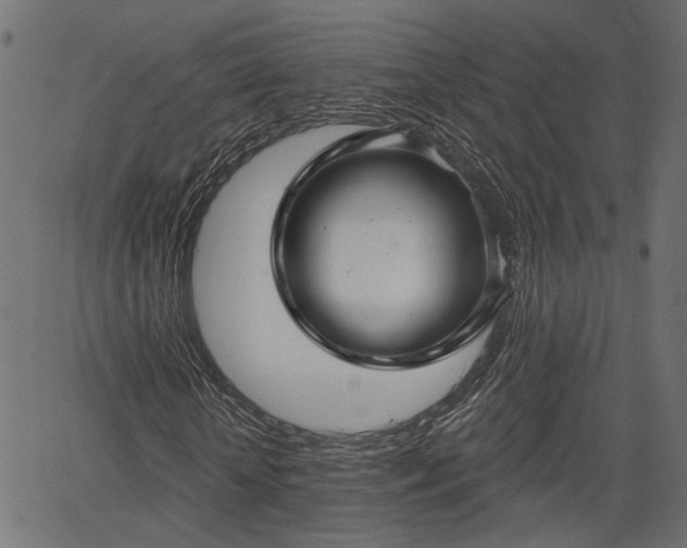 X0000066930818200603311349