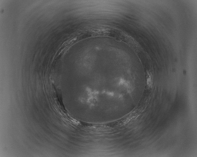 X0000066930819200603311349