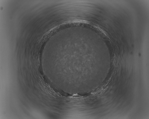 X0000066930821200603311349