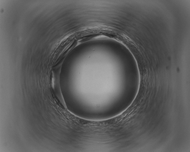 X0000066930822200603311350