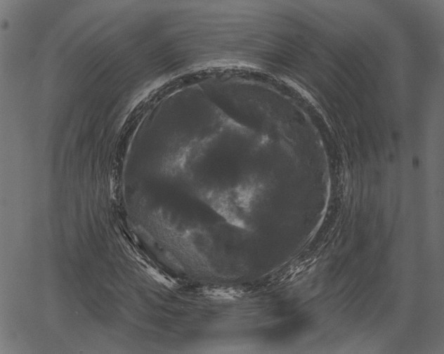 X0000066930823200603311350