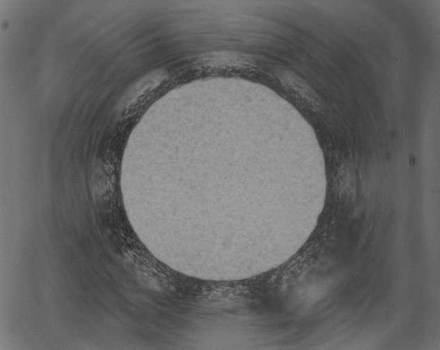 X0000066930824200603311350