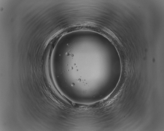 X0000066930826200603311350