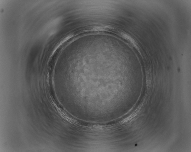 X0000066930827200603311350