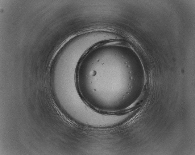 X0000066930828200603311350