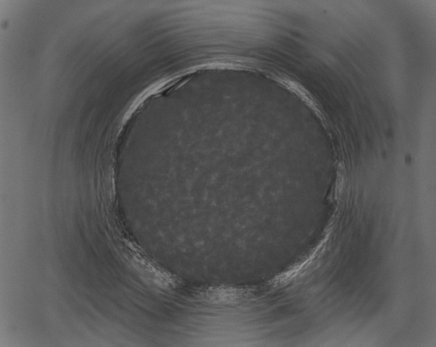 X0000066930829200603311350