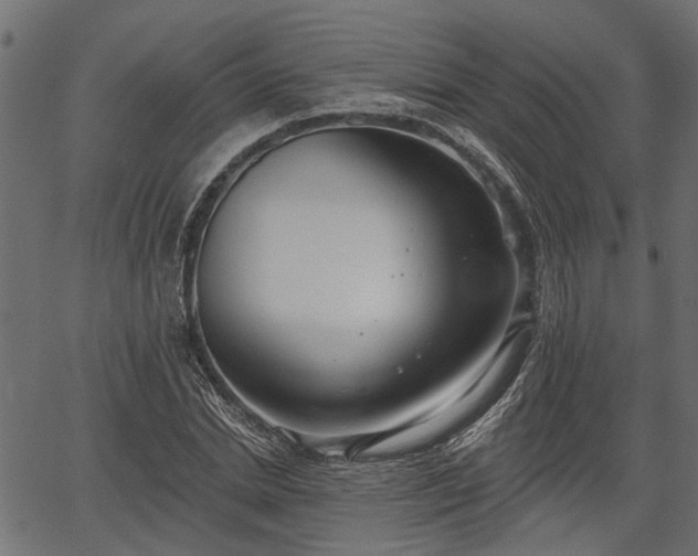 X0000066930830200603311350