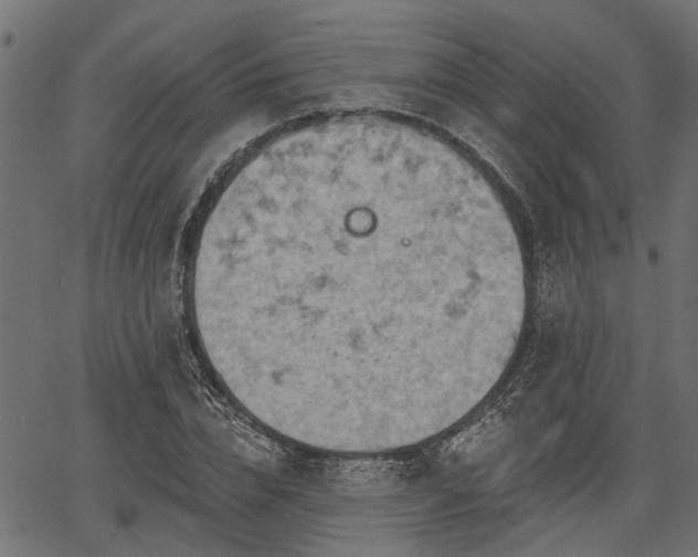 X0000066930832200603311350