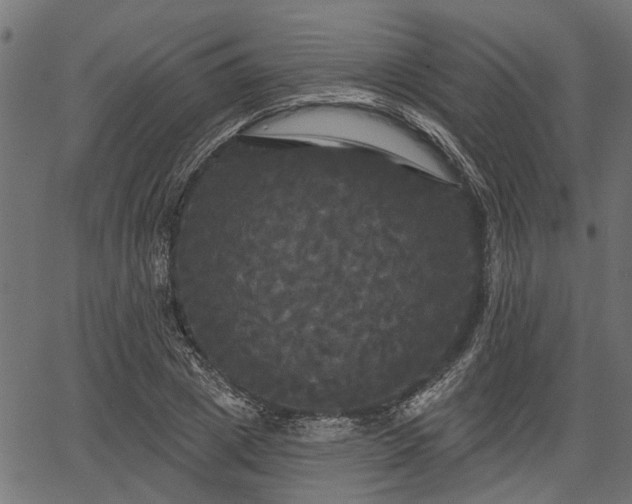 X0000066930833200603311350