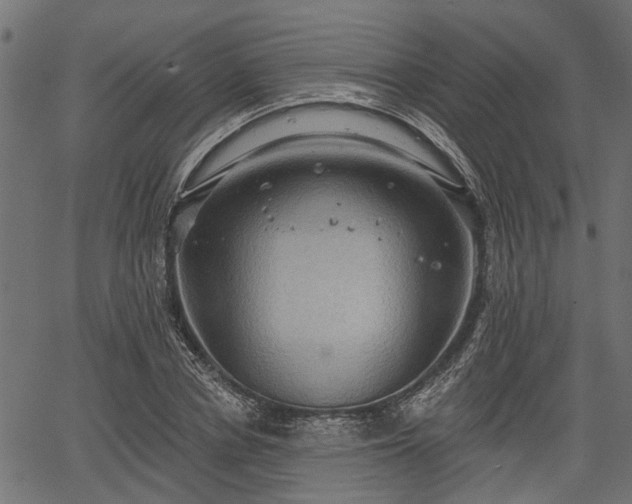 X0000066930834200603311350