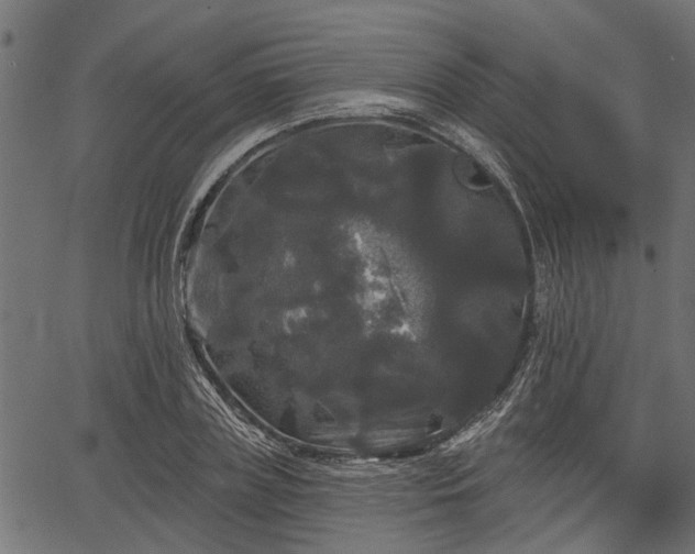 X0000066930835200603311350