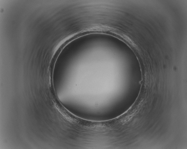 X0000066930838200603311350