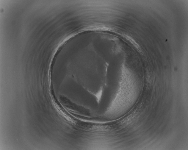 X0000066930840200603311350