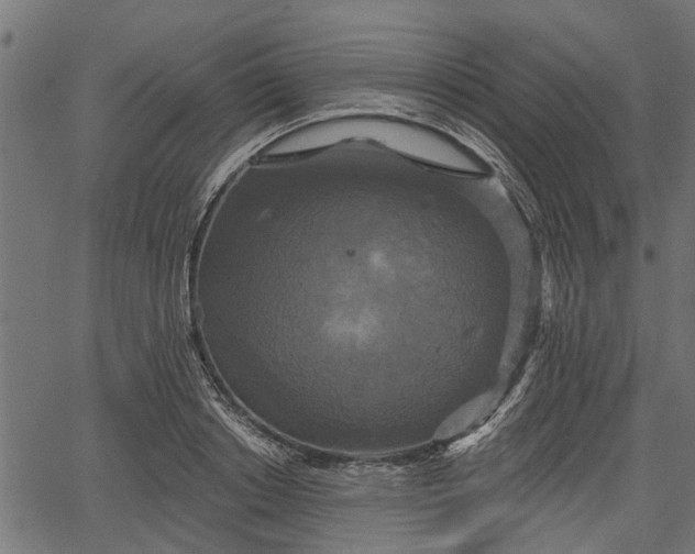 X0000066930842200603311350