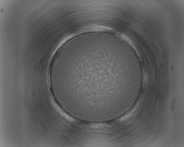 X0000066930843200603311350