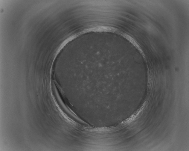 X0000066930845200603311350