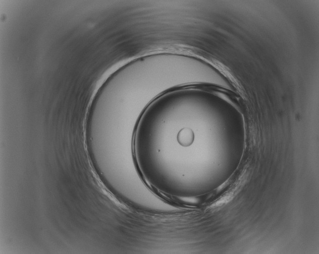 X0000066930846200603311350