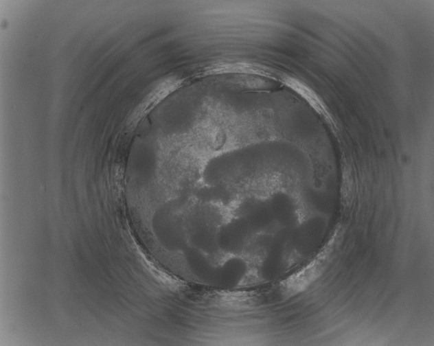 X0000066930849200603311350