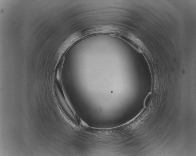 X0000066930850200603311350