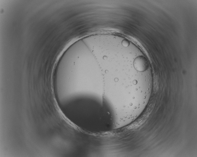 X0000066930851200603311350