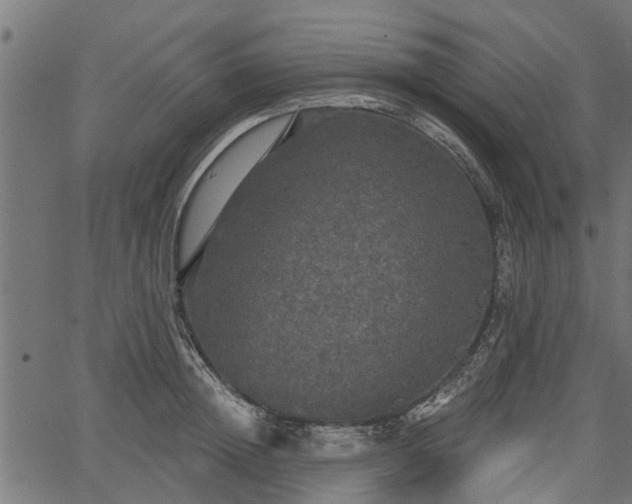 X0000066930852200603311350