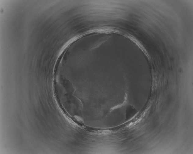 X0000066930853200603311350