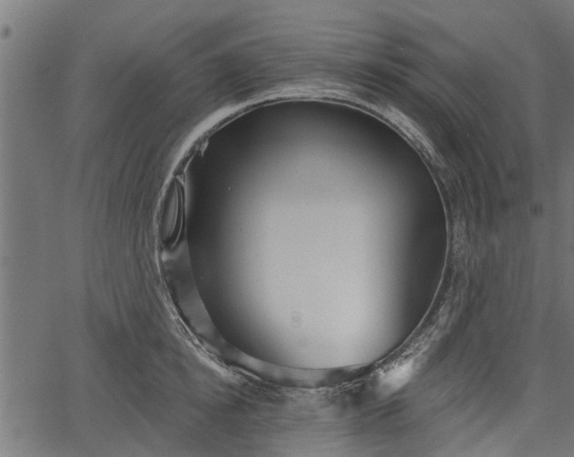 X0000066930854200603311350