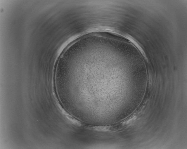 X0000066930861200603311350