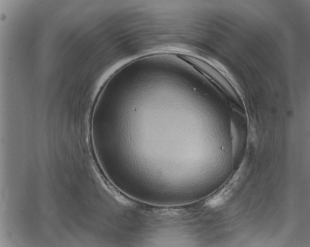 X0000066930862200603311350