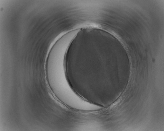 X0000066930864200603311350