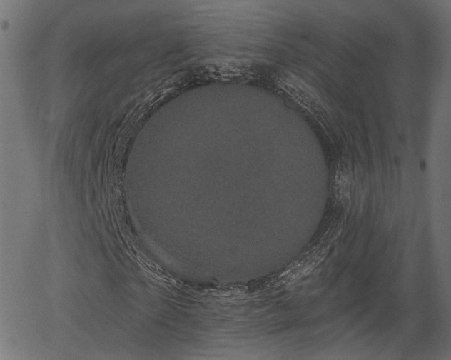 X0000066930865200603311349