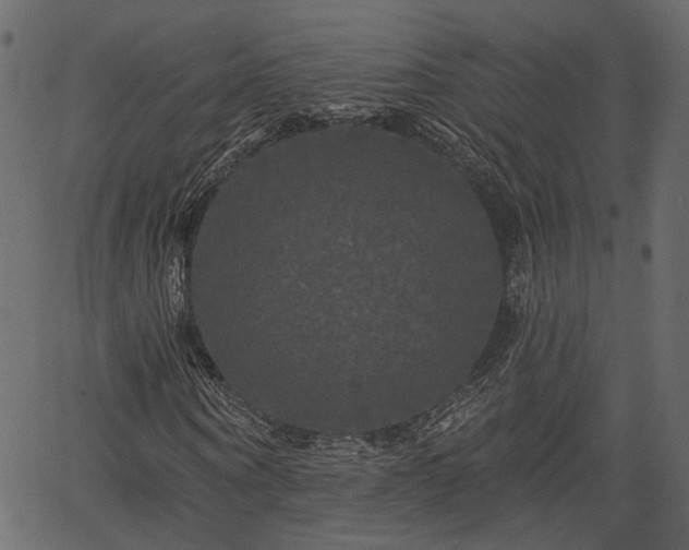 X0000066930866200603311349