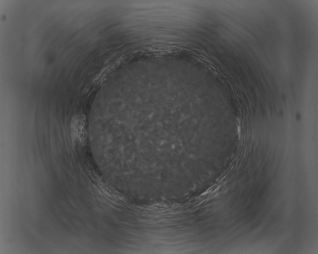 X0000066930867200603311349