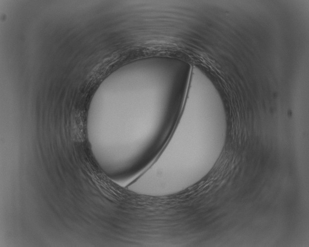 X0000066930868200603311349