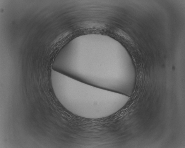 X0000066930869200603311349